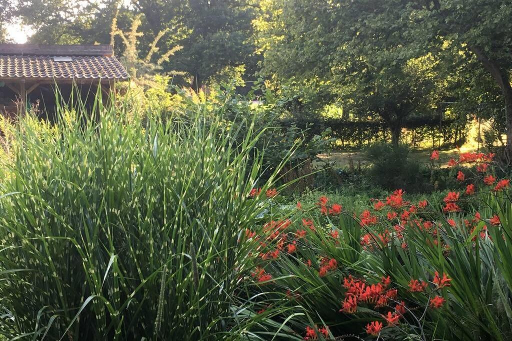 Gemuetliches Nest Fuer Zwei Personen Zum Ausspannen Beverstedt Exterior foto